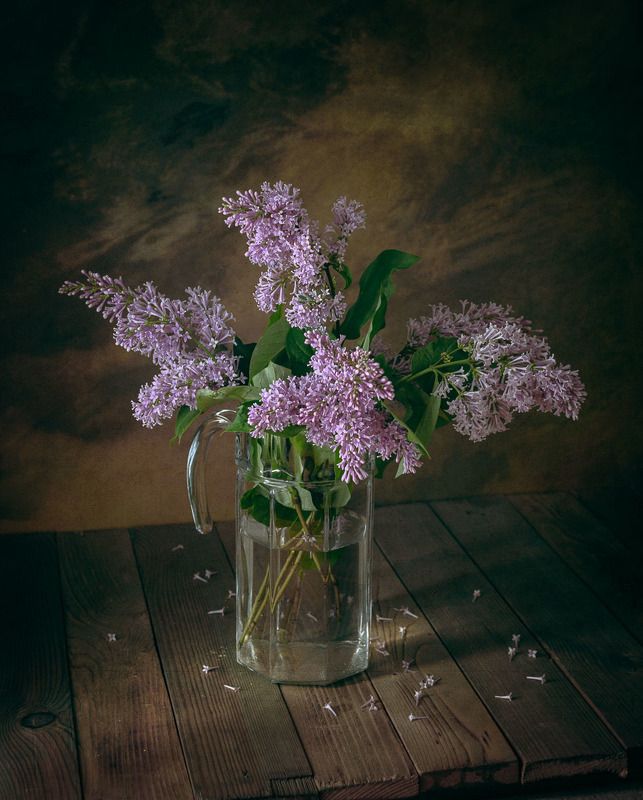 Сиреньphoto preview