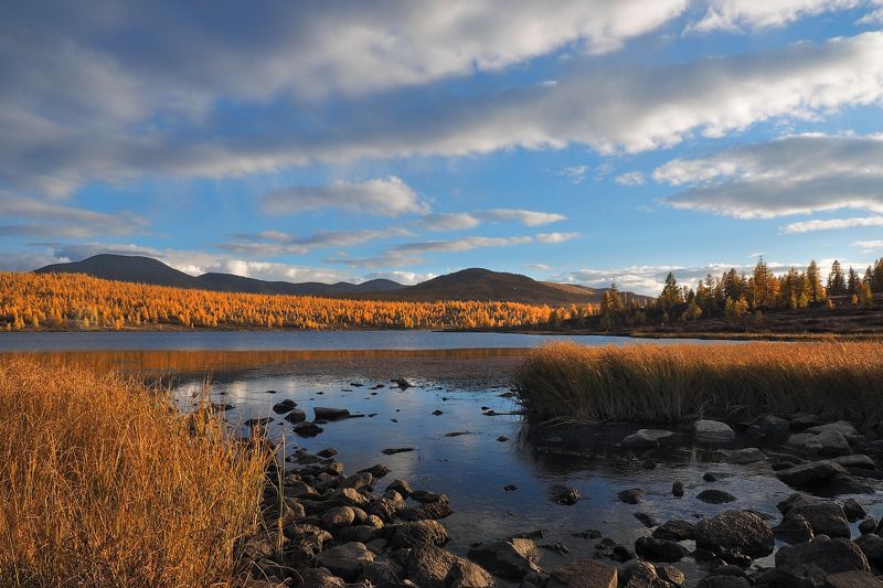 Речушка в озеро впадалаphoto preview