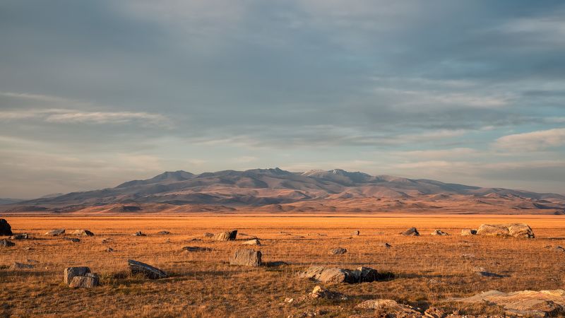 В закатном светеphoto preview