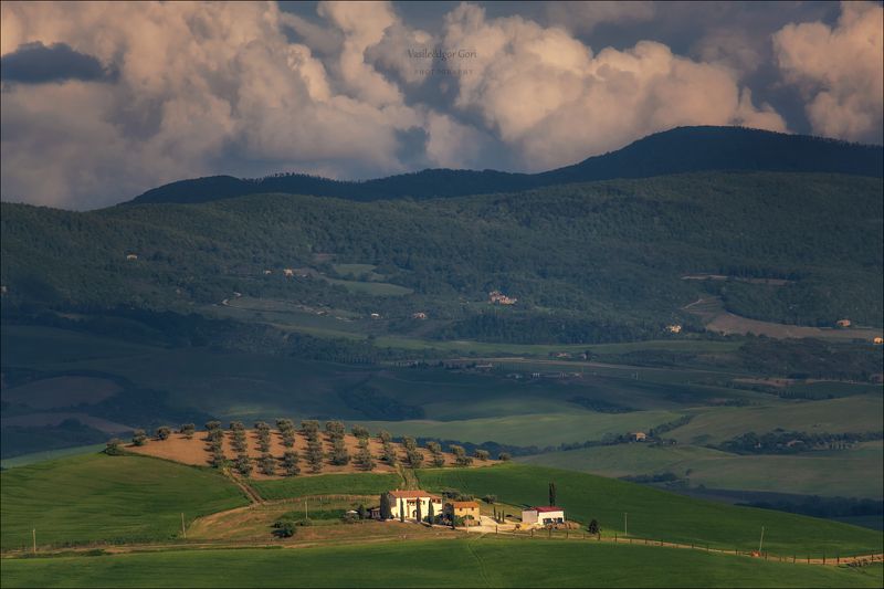 italy,san quirico d\'orcia,italia,тоскана,pienza,кипарис,toscana,весна,tuscany,cipressi,belvedere,пьенца,тени,rural,landscapes,nature, Агрохолдингphoto preview