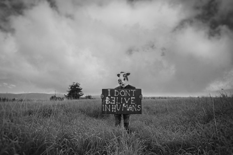 about humansphoto preview