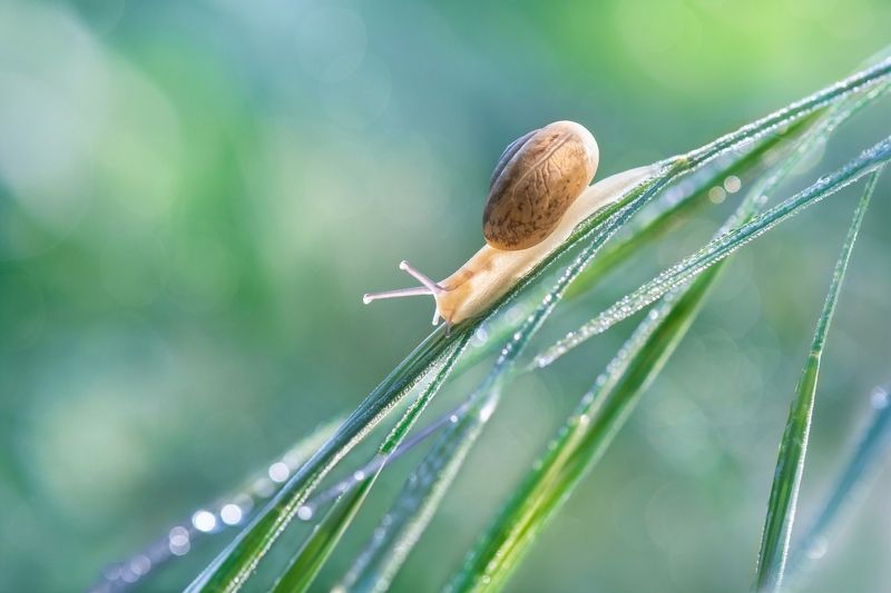 *Февраль - предчувствие весны...photo preview