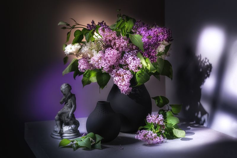 сирень, цветы, букет Сиреньphoto preview