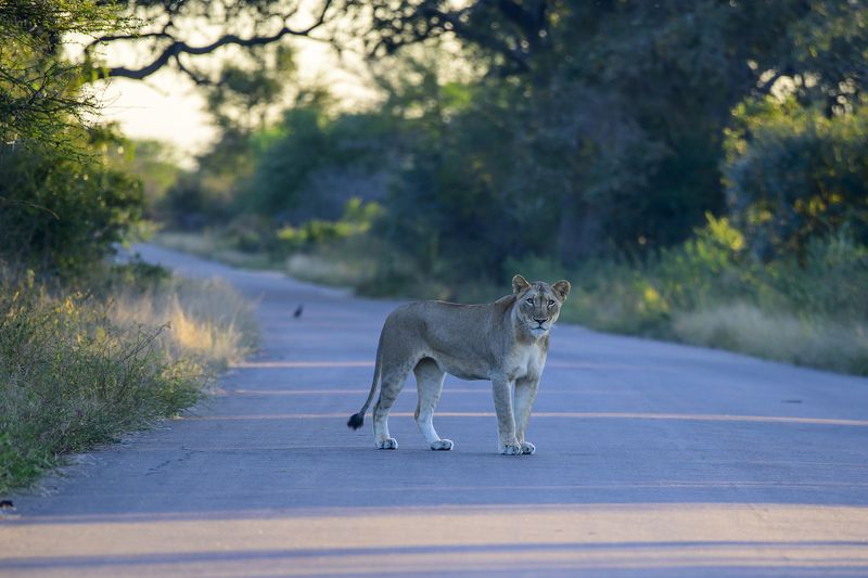 Встречаphoto preview