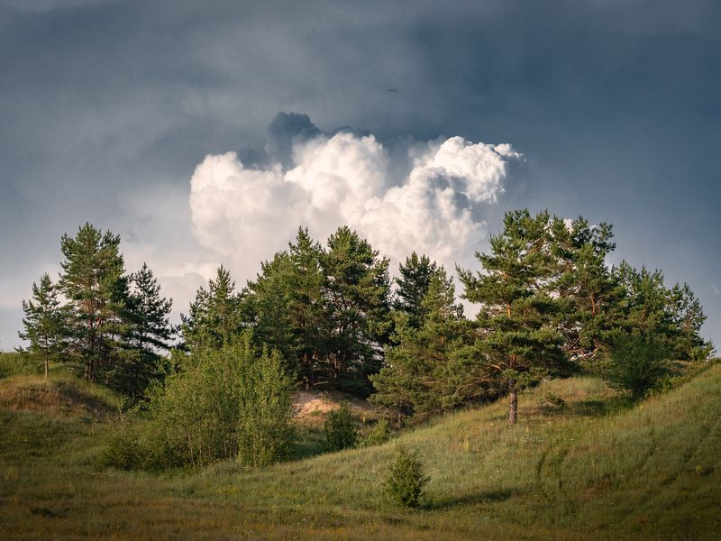 фото превью