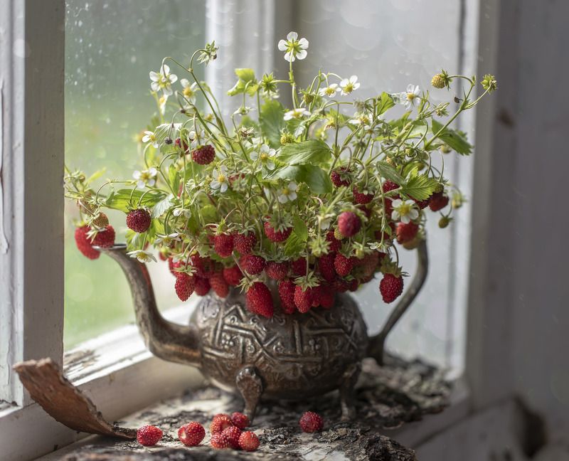 натюрморт, земляника Лесная...ароматная...photo preview