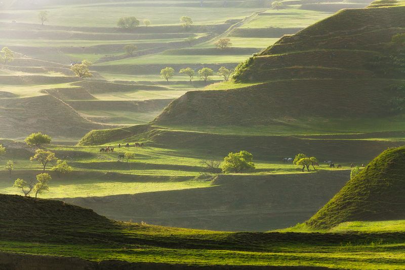 russia, travel, dagestan nature Кегерские террасыphoto preview