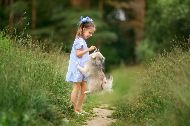 девочка, собака, игра, лето, лес Давай поиграемphoto preview