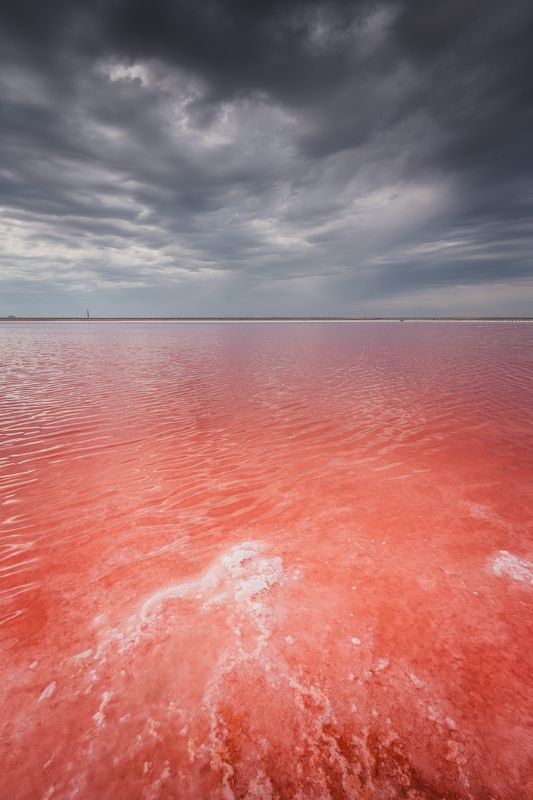 Озеро Сасыкphoto preview