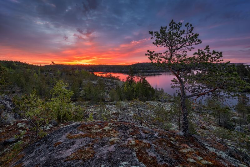 Заря шхериться не стала....photo preview