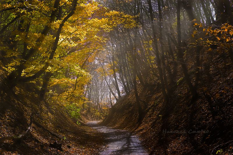 кавказ горы лес Дорога в осень фото превью