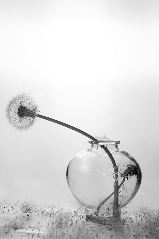 Концепт фото превью