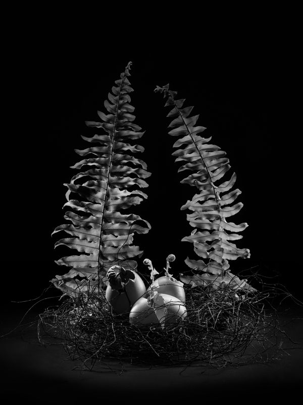 Семейный альбомphoto preview