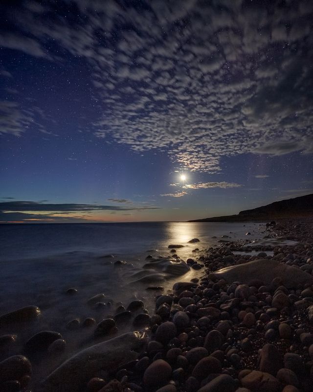 Царица ночиphoto preview