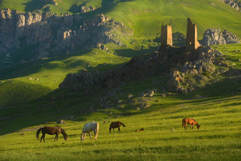 осетия, северная осетия, фототур в северную осетию, горы, тур по осетии, фототур по осетии, халгон ХАЛГОНphoto preview