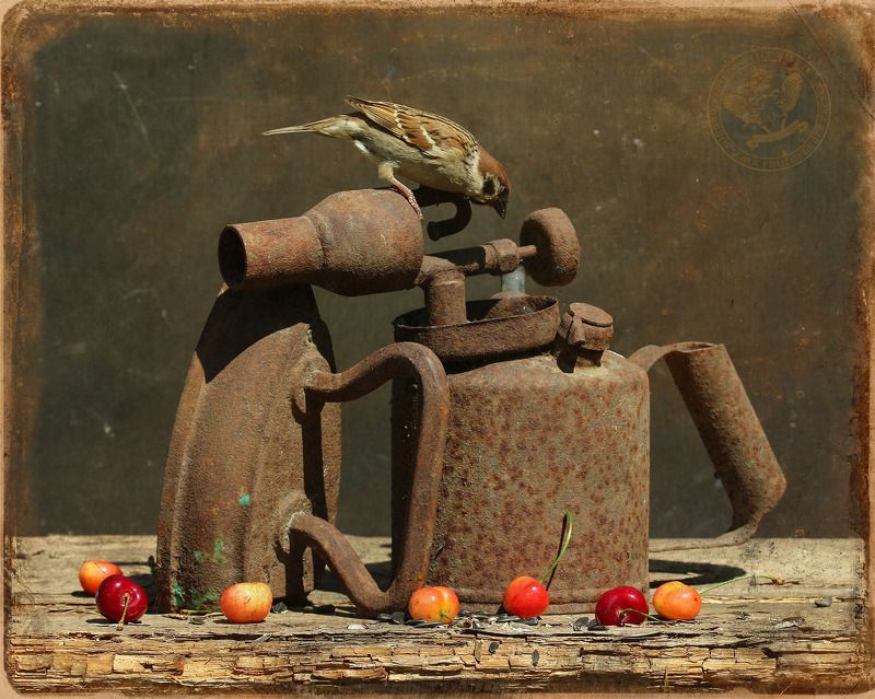 В природе лета было жечьphoto preview