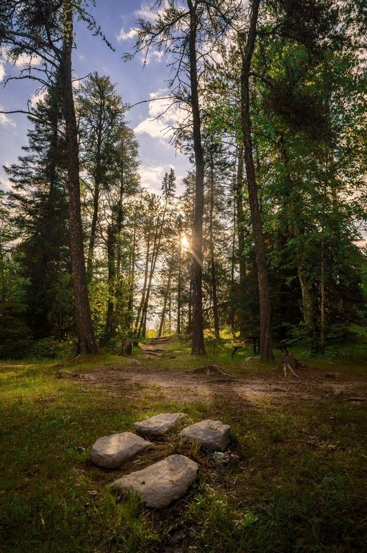 фото превью