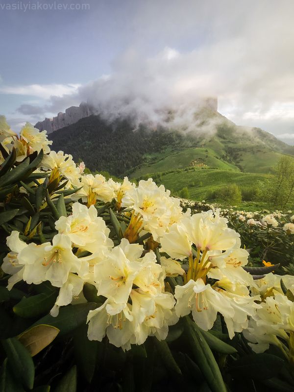 тхач, большой тхач, фототур, яковлевфототур, кавказ, адыгея Большой Тхачphoto preview
