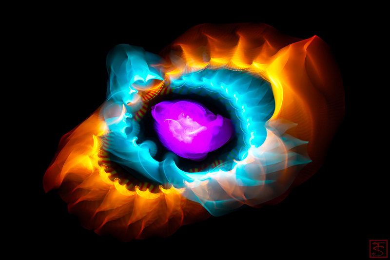 #сергейтолмачев #уменянакухне #фотограф #фризлайт #рисованиесветом #световаякисть Сверхноваяphoto preview