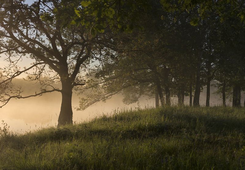 Пробуждениеphoto preview