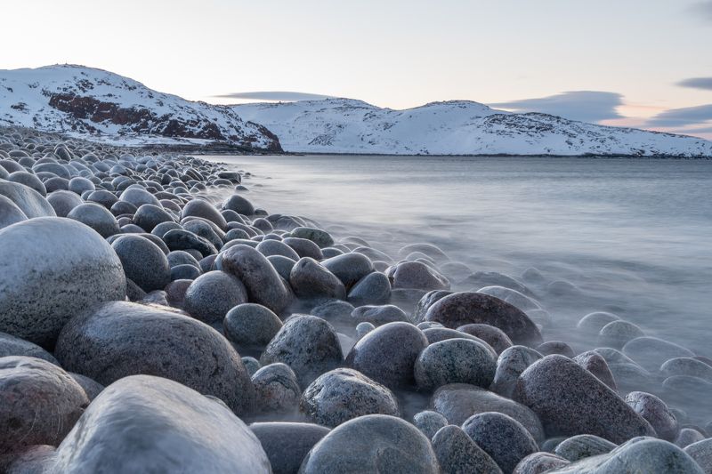 Яйца драконовphoto preview