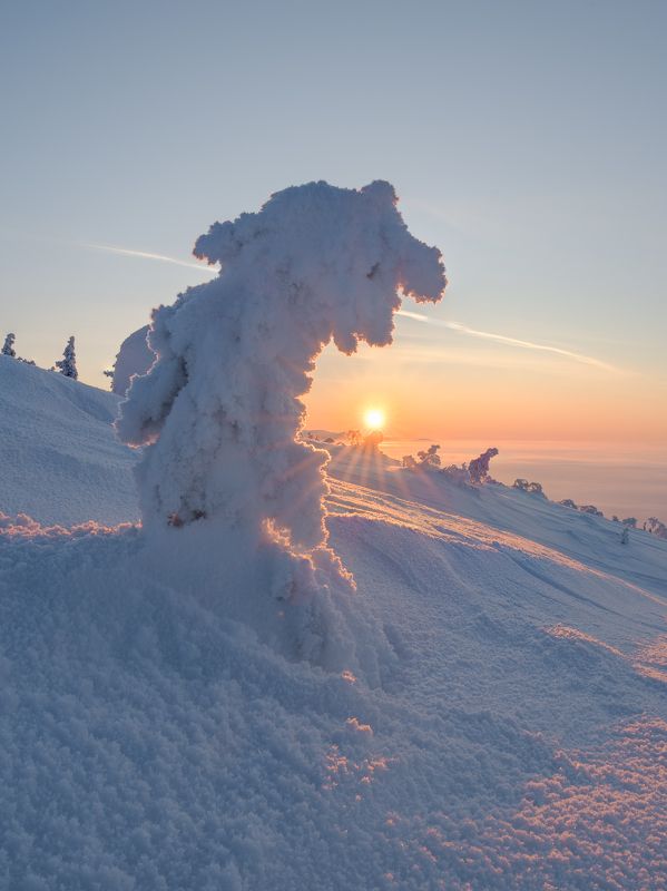 Снежный динозаврphoto preview