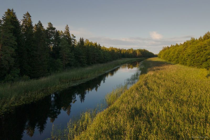 кургальский заказник, ленинградская область, финский залив, экологический маршрут, экотропа, лебеди Кургальский заказник - IIphoto preview