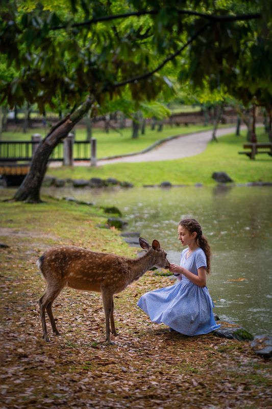 Однажды в Японииphoto preview