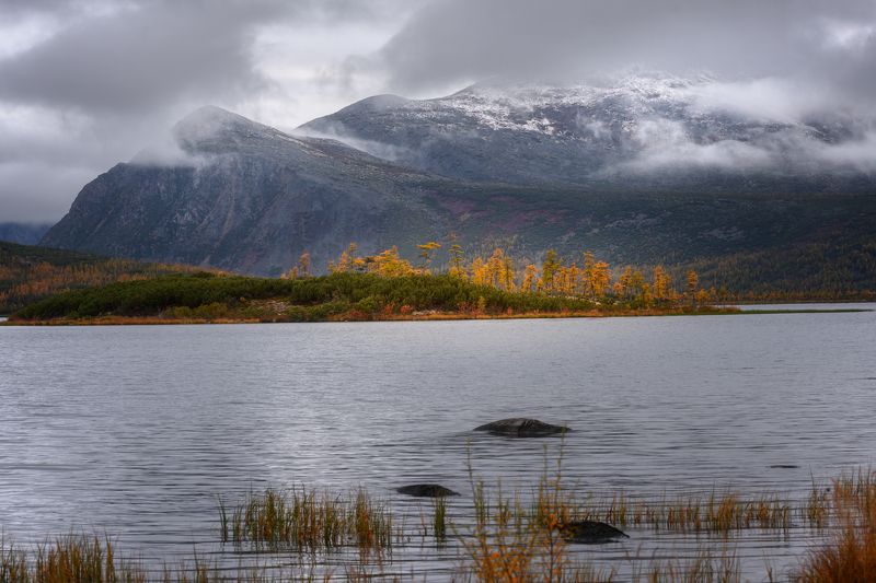 коса биологов ,колыма, озеро джека лондона, золотая осень, магаданская область \