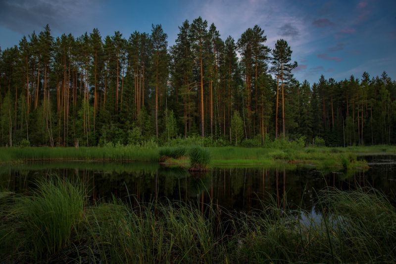 серково июнь вечер суходол сумерки Поздний вечер на Суходоле фото превью