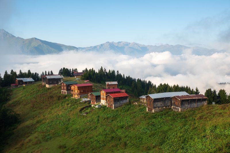 Жизнь в облакахphoto preview