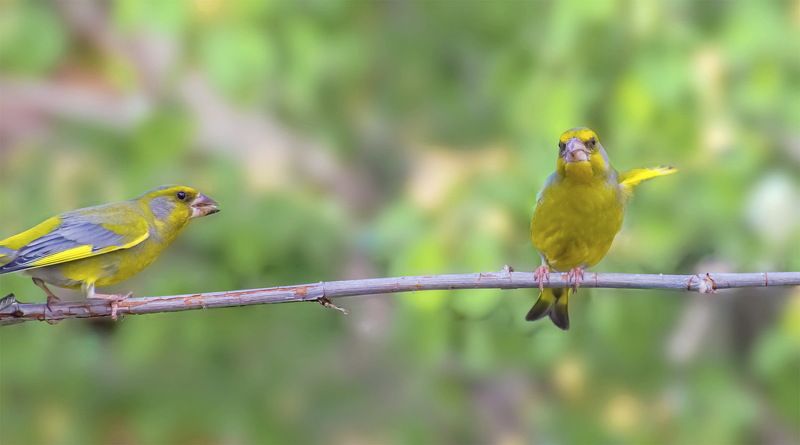 Замри,нас снимают.photo preview