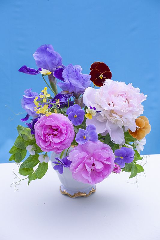 букет, натюрморт, цветы Пионы и анютины глазкиphoto preview