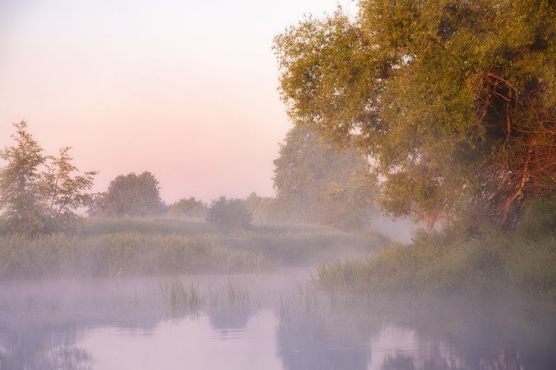 лето, церковь, владимирская область, рассвет, филипповское, шерна ***photo preview