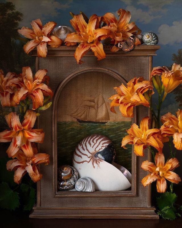 seashell, ocean, sea, nautical, still life, lilies, still life photography, sailing Sea Shellphoto preview