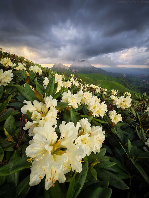 тхач, большой тхач, фототур, яковлевфототур, кавказ, адыгея Большой Тхачphoto preview