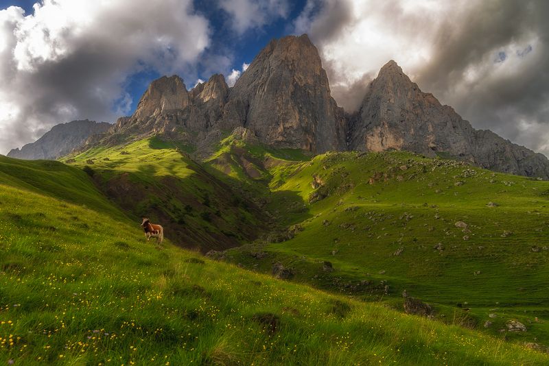 Цей-Лоам, респ. Ингушетияphoto preview