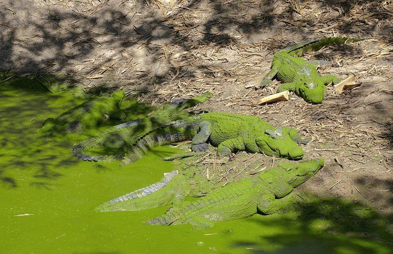 Нас не заметят...photo preview