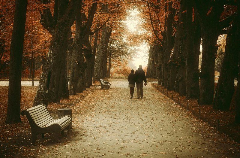 Павловск, осень, парк Осень в Павловскеphoto preview