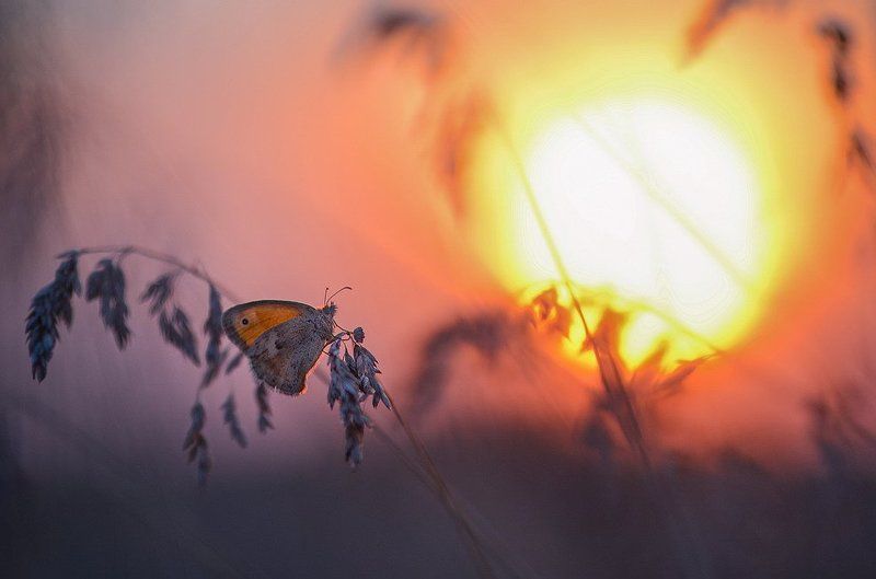 Вечер спешит к ночи...photo preview