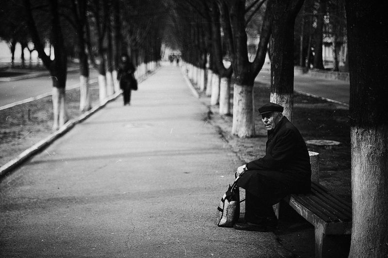 portrait the road of a lifetimephoto preview