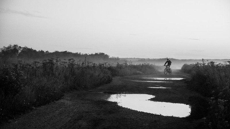 Несколько историй о тумане photo preview