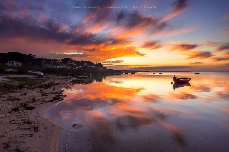 Magic pondphoto preview