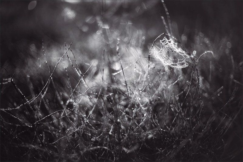 Ночноеphoto preview