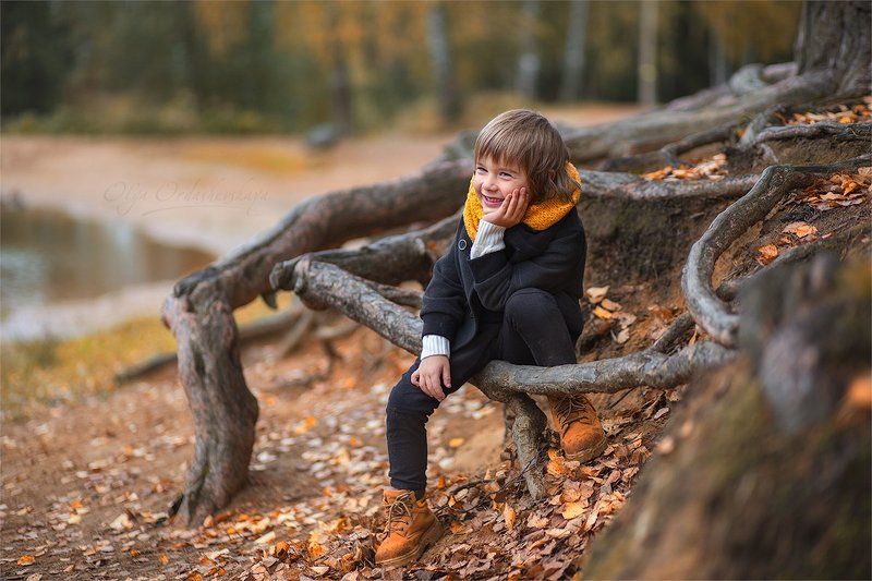 Autumn sketchesphoto preview