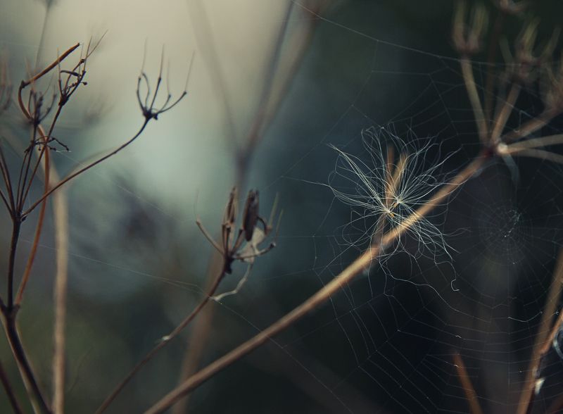 Вдвоемphoto preview