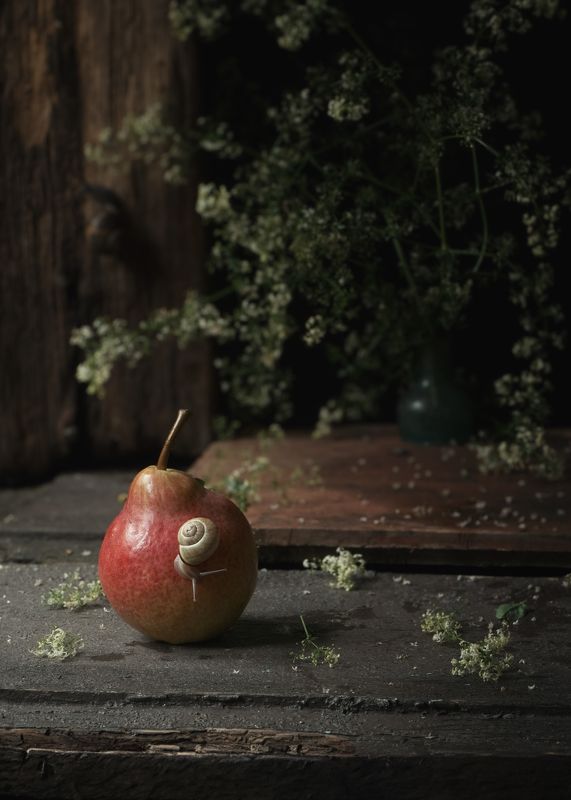 Pera y caracolphoto preview