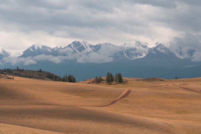 Курайский райphoto preview