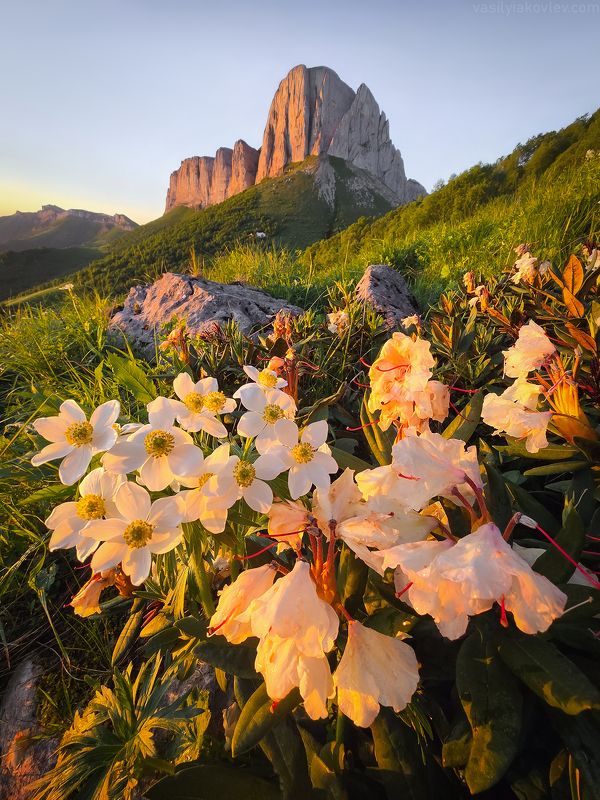 тхач, большой тхач, фототур, яковлевфототур, кавказ, адыгея Восточный Ачешбокphoto preview