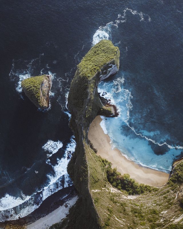 Trex фото превью